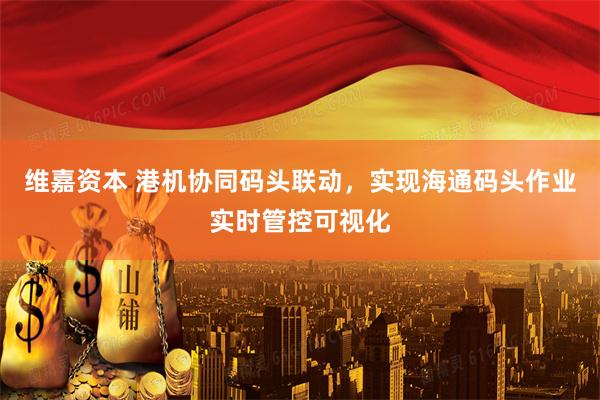 维嘉资本 港机协同码头联动，实现海通码头作业实时管控可视化