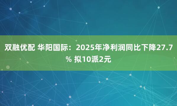 双融优配 华阳国际：2025年净利润同比下降27.7% 拟10派2元