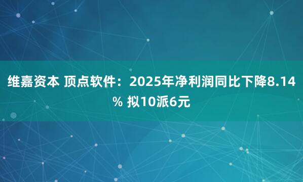 维嘉资本 顶点软件：2025年净利润同比下降8.14% 拟10派6元