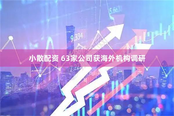 小散配资 63家公司获海外机构调研