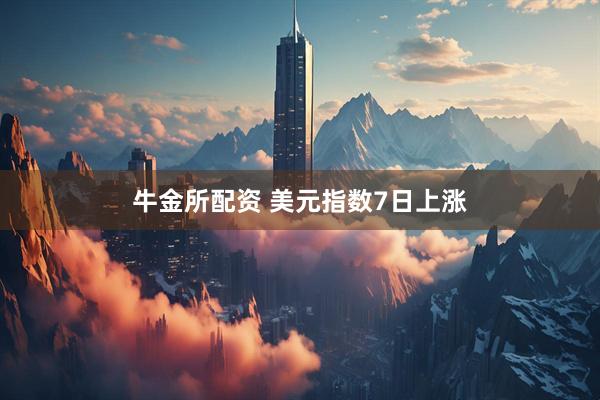 牛金所配资 美元指数7日上涨