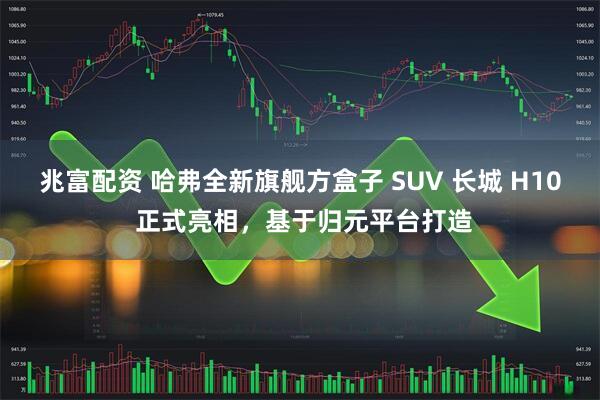 兆富配资 哈弗全新旗舰方盒子 SUV 长城 H10 正式亮相，基于归元平台打造