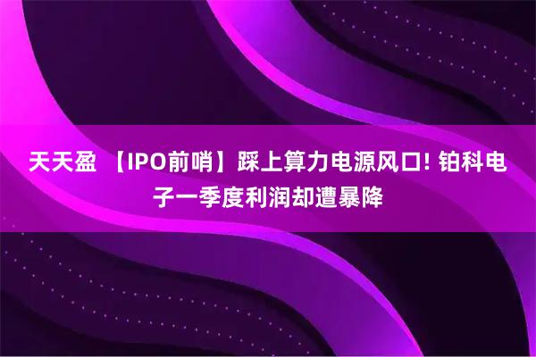 天天盈 【IPO前哨】踩上算力电源风口! 铂科电子一季度利润却遭暴降