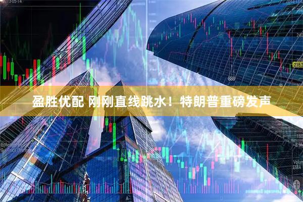 盈胜优配 刚刚直线跳水！特朗普重磅发声