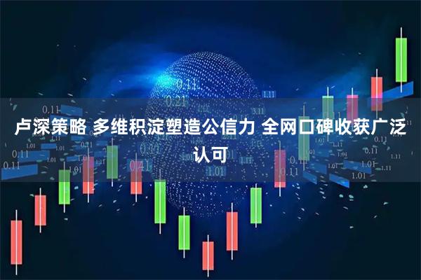 卢深策略 多维积淀塑造公信力 全网口碑收获广泛认可