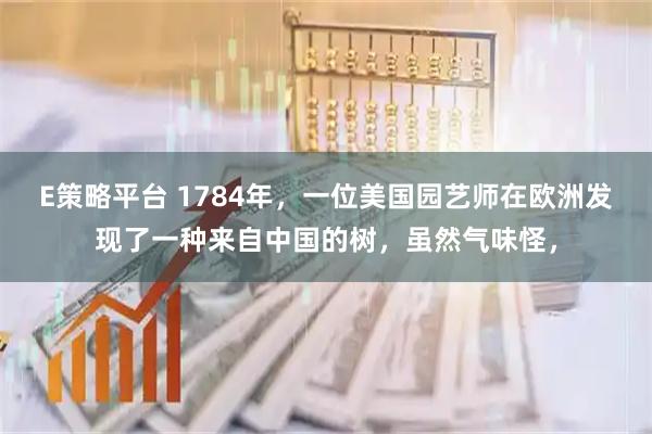 E策略平台 1784年，一位美国园艺师在欧洲发现了一种来自中国的树，虽然气味怪，