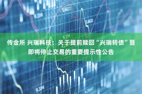 传金所 兴瑞科技：关于提前赎回“兴瑞转债”暨即将停止交易的重要提示性公告